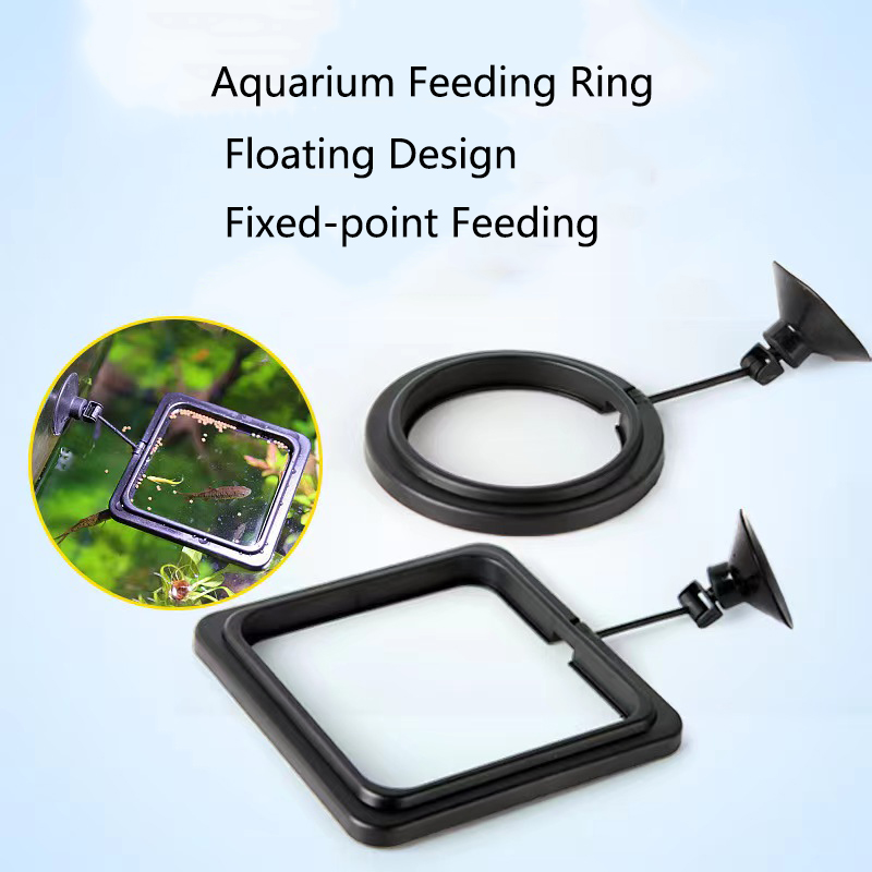 Aquarium Fish Medicine - Square Fish Feeding Circle Aquarium Feeding