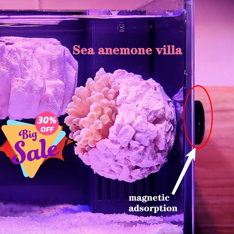 Aquarium Fish Cichlid - New DIY Handmade Floating Magnetic Sunflower