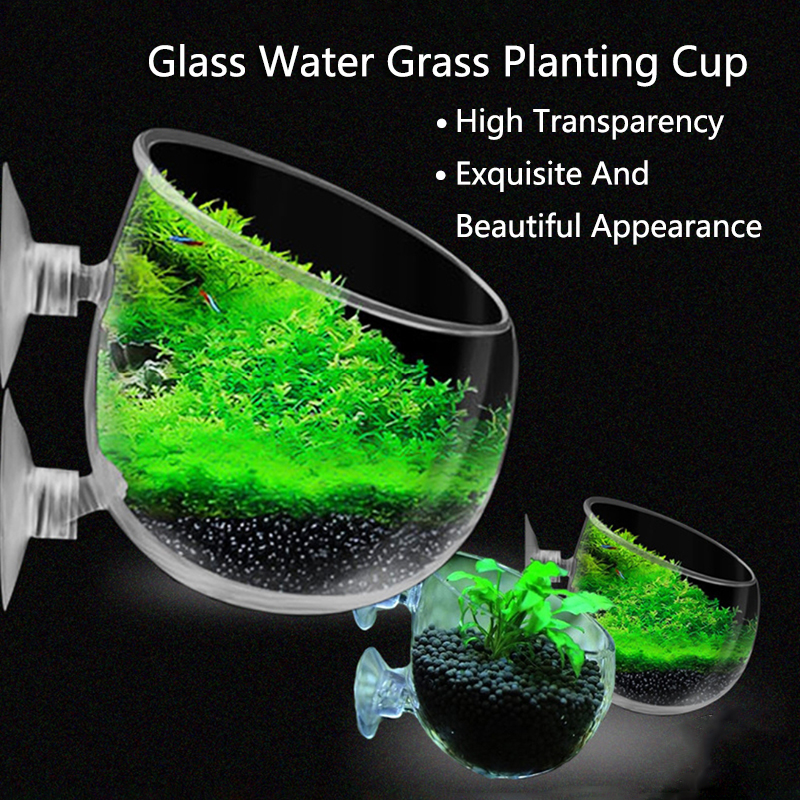 Aquarium Fish Cichlid - Glass Aquarium Decoration Hanging Cup Fish