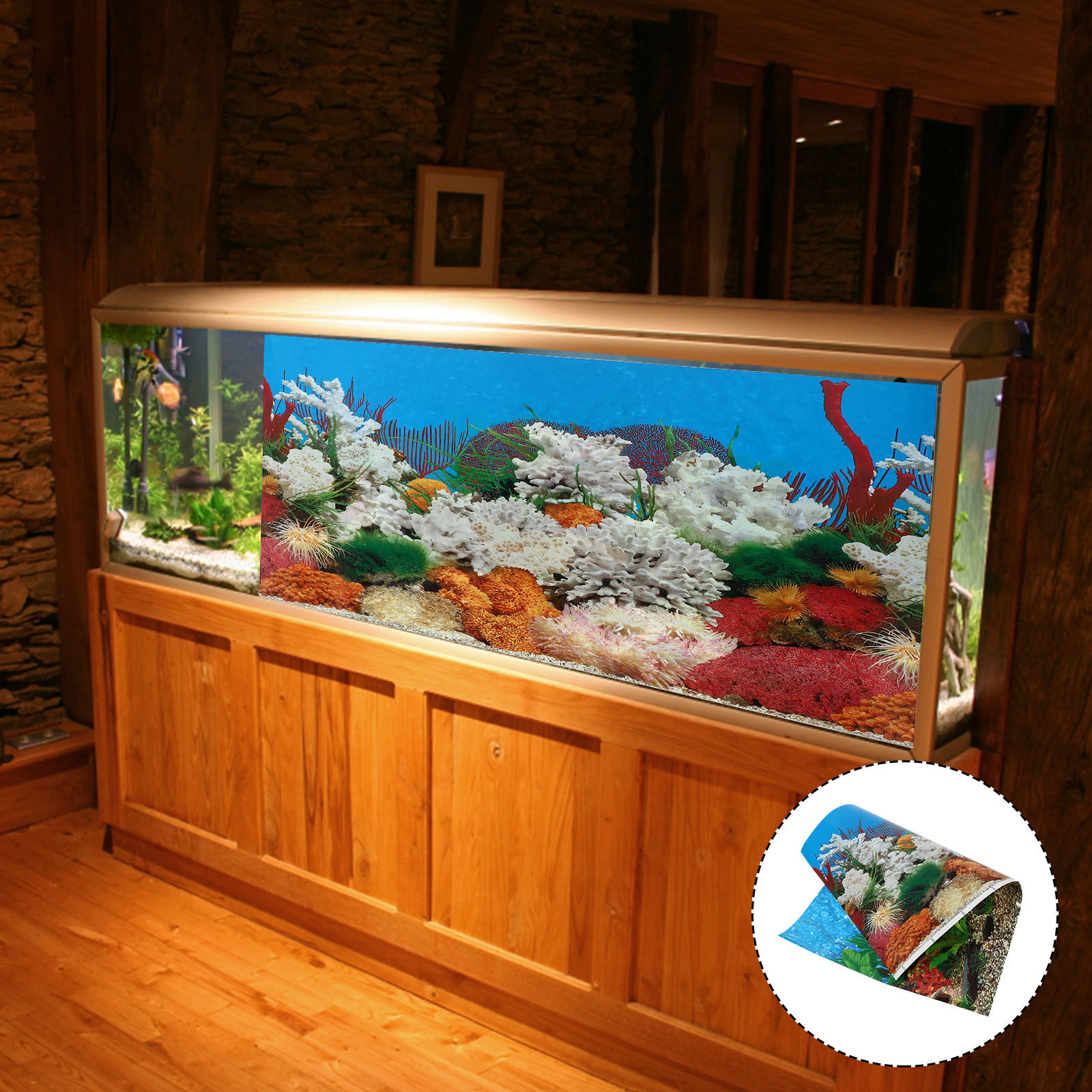 Fish In Aquarium Picture - Aquarium Background Sticker Adhesive Backdrop Poster