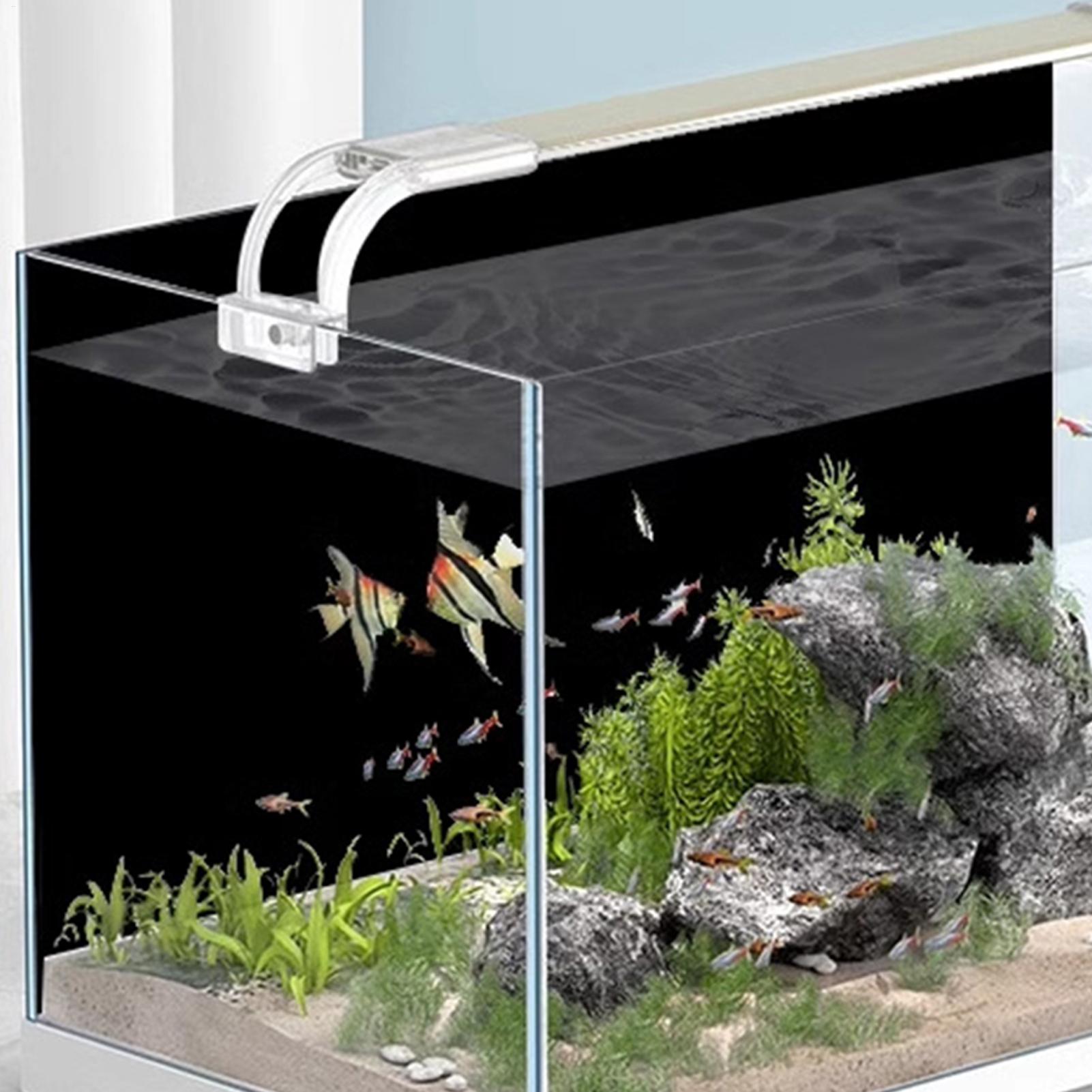 Fish Tank Background Static Cl - Fish In Aquarium Picture 评论和价格