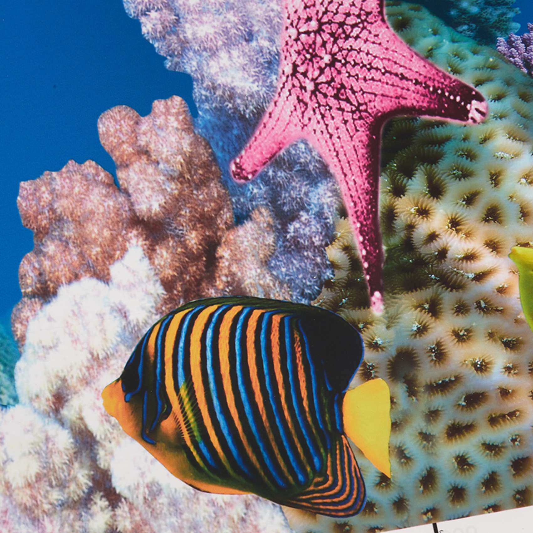 ABWR-Aquarium Background Paper - Fish In Aquarium Picture 评论和价格
