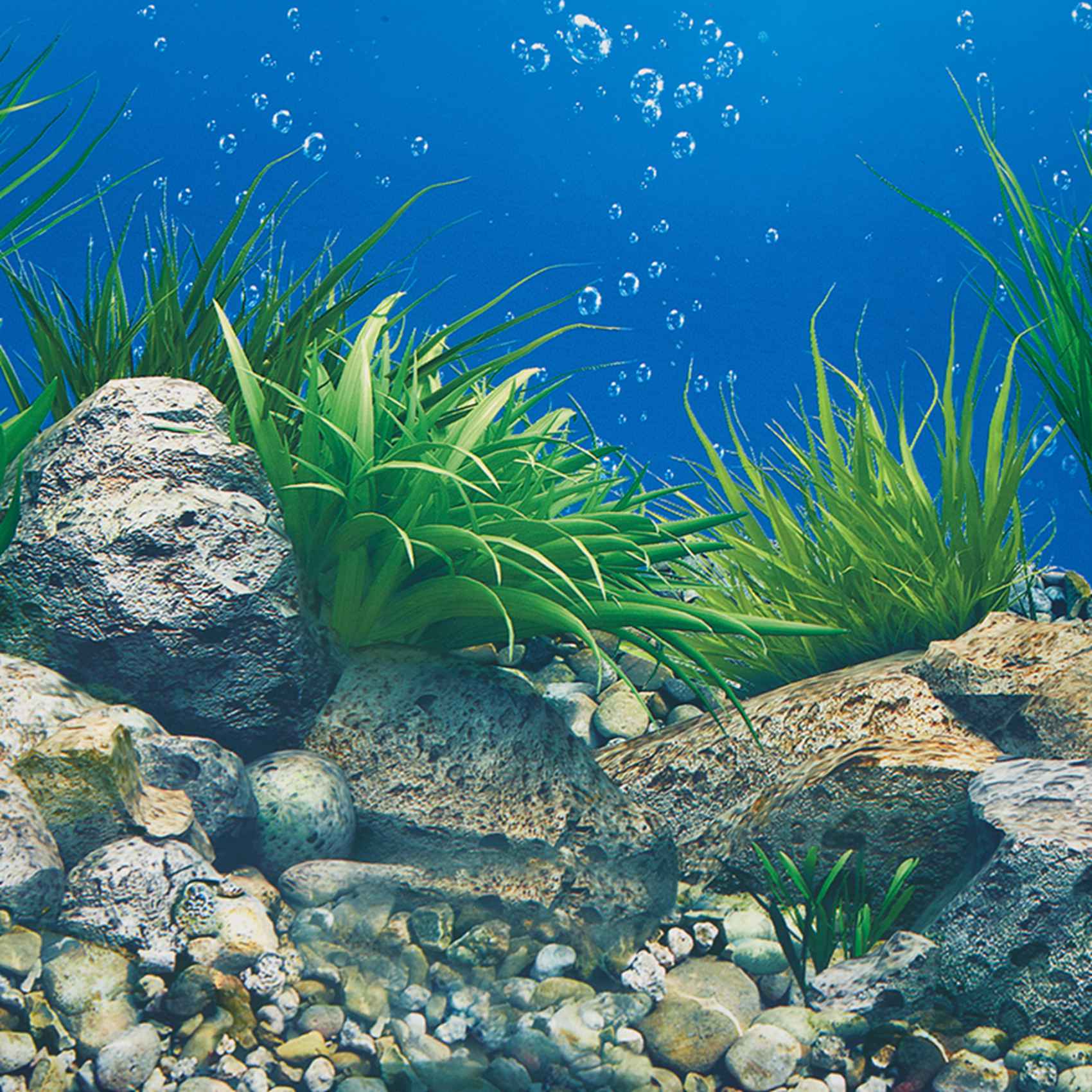 ABWR-Aquarium Background Paper - Fish In Aquarium Picture 评论和价格