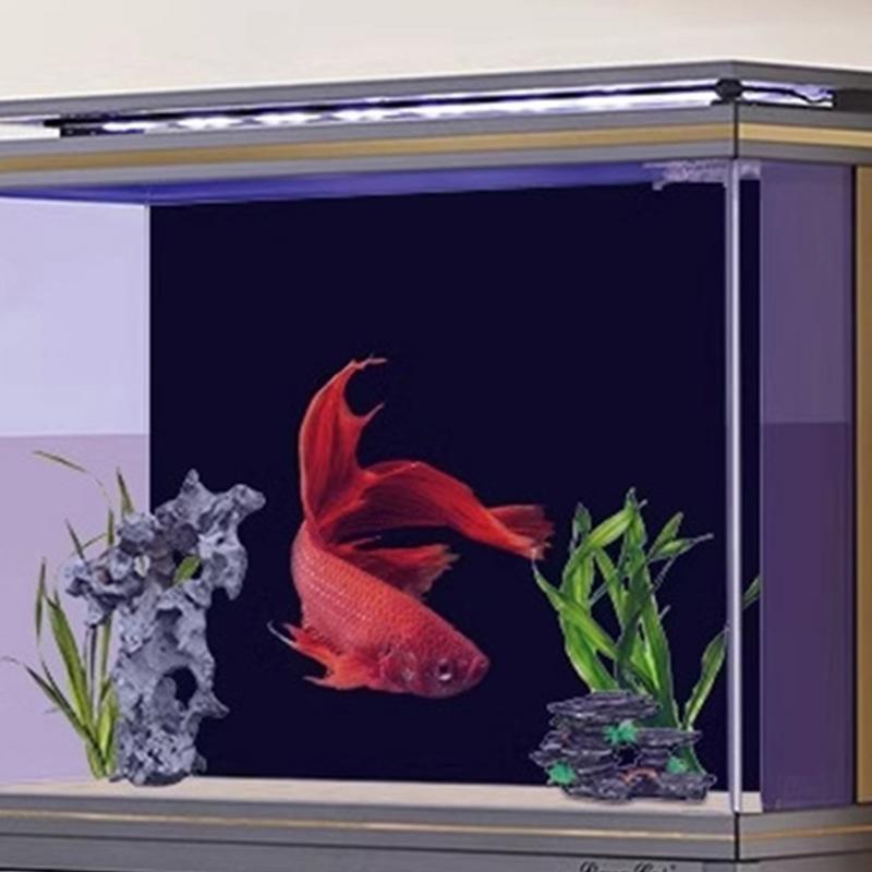 Black Aquarium Background Wall - Fish In Aquarium Picture 评论和价格