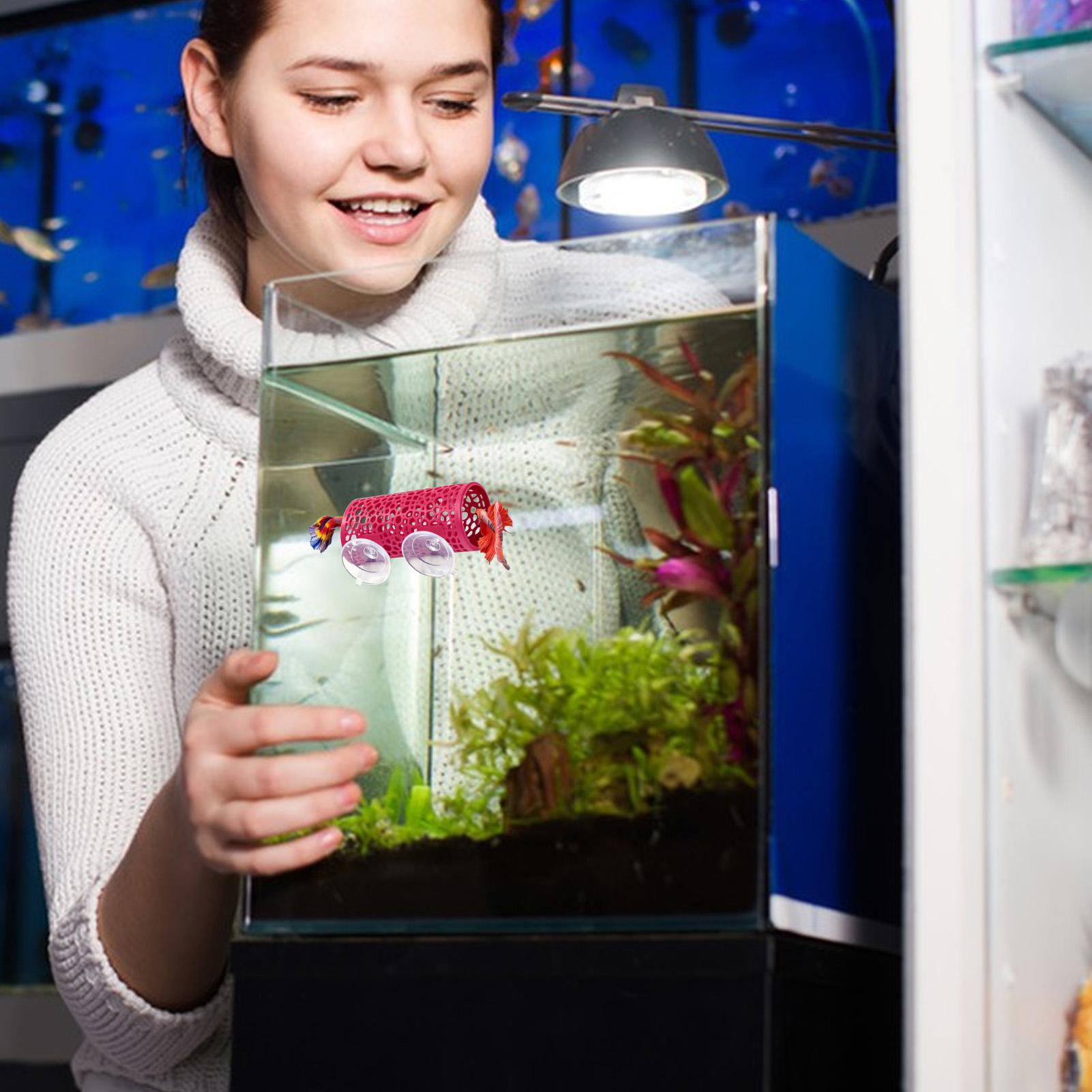 Betta Habitat Resting Shelter  - Aquarium Fish Cichlid 评论和价格