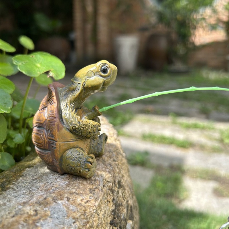 Turtle fishing fish tank aquar - Aquarium Fish In Pond 评论和价格