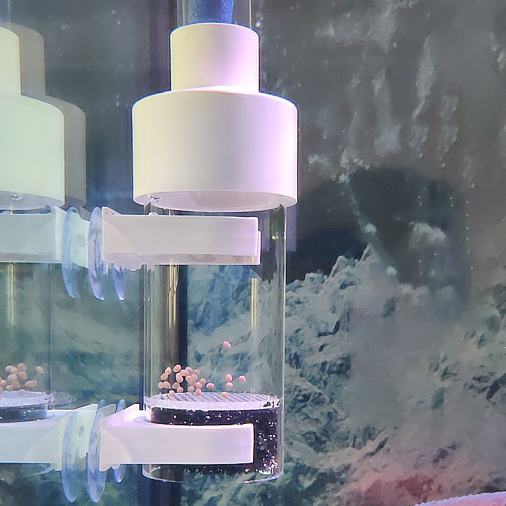 40mm Tumbler Incubator Fish Ha - Aquarium Fish Cichlid 评论和价格
