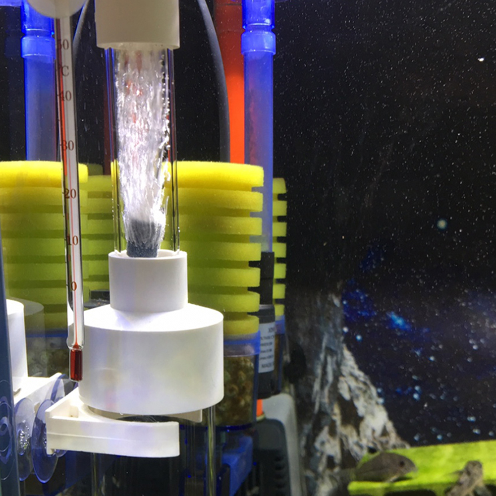 40mm Tumbler Incubator Fish Ha - Aquarium Fish Cichlid 评论和价格