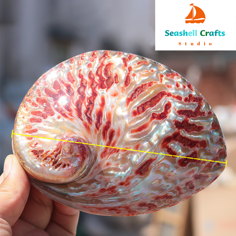 Home Decoration Red Pattern Ab - Aquarium Fish Cichlid 评论和价格
