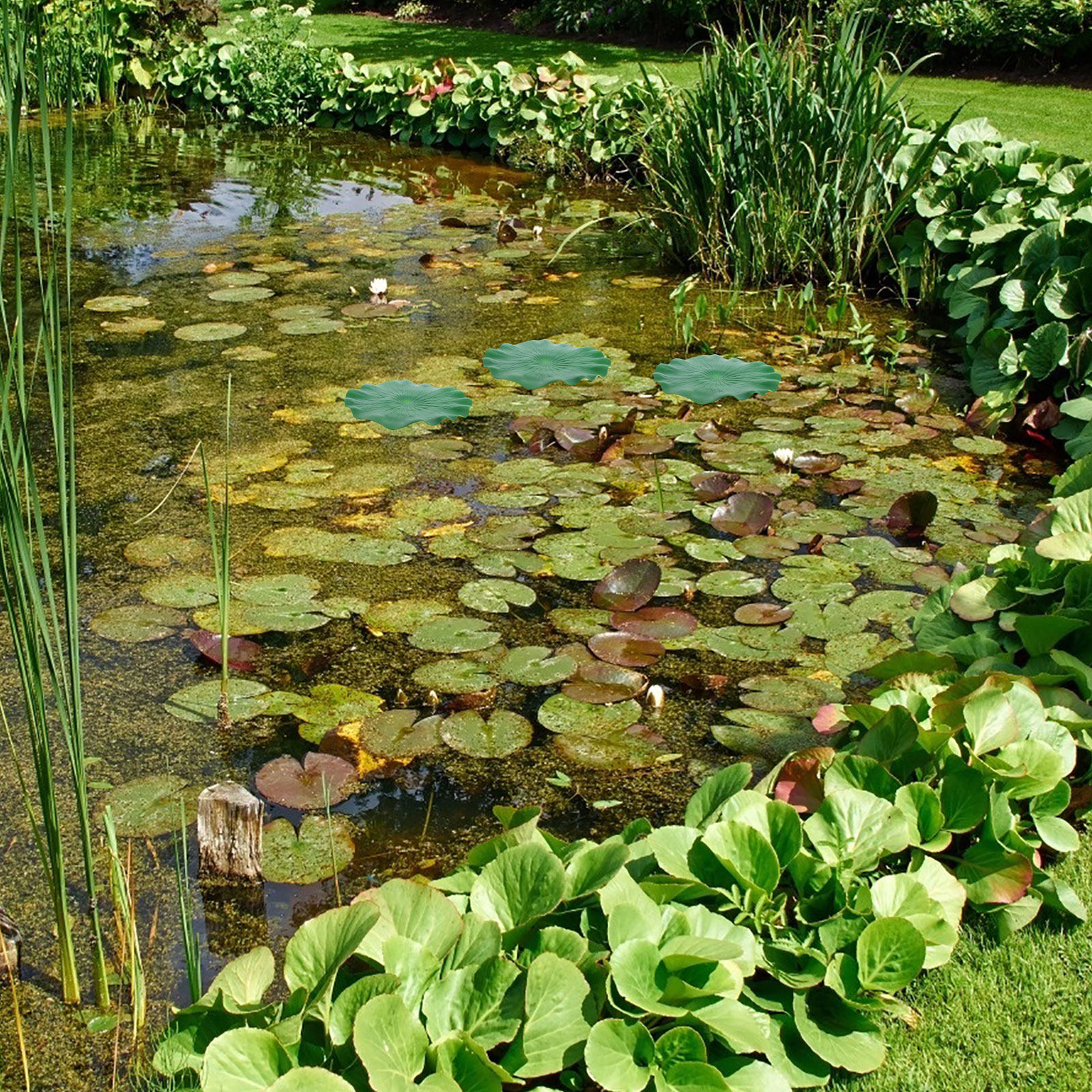 15Pcs Artificial Lotus Leaves  - Aquarium Fish In Pond 评论和价格