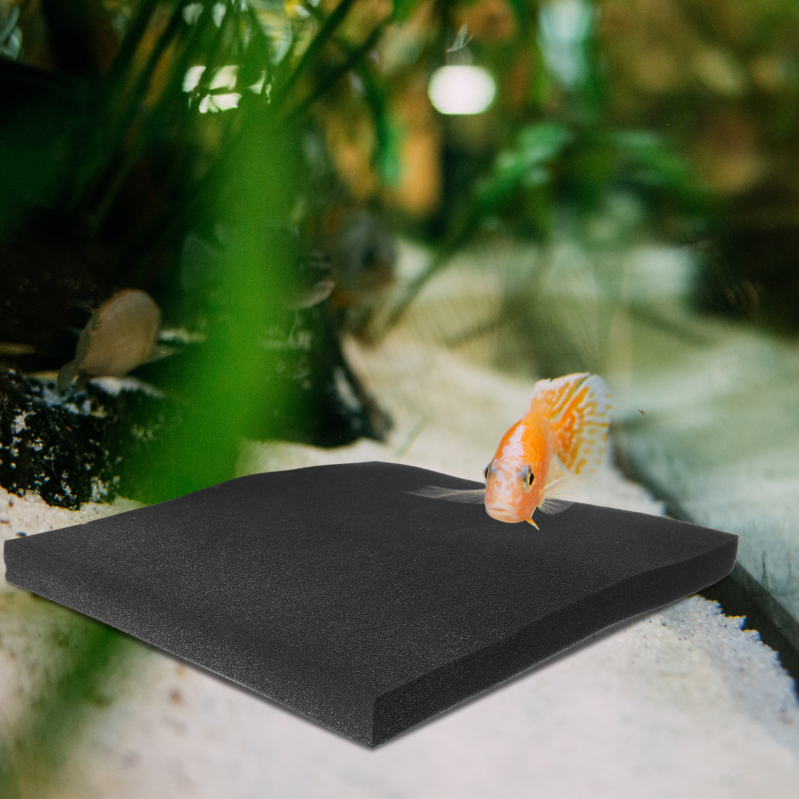 Aquarium Replacement Filter Sp - Aquarium Fish With Long Lifespan 评论和价格