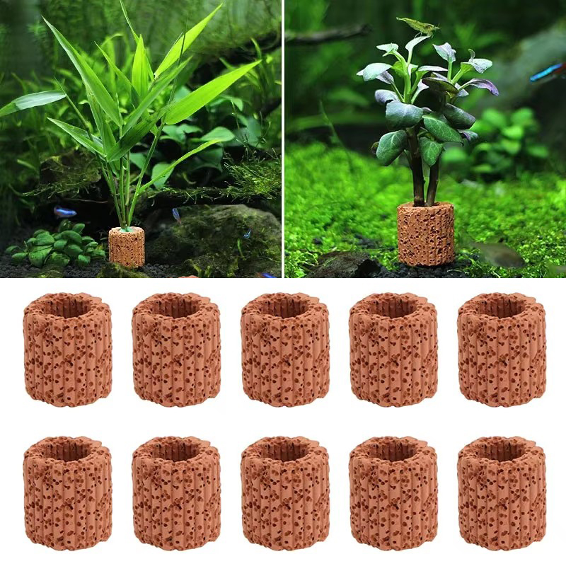 Aquatic Plant Fixed Ring for A - Aquarium Fish Cichlid 评论和价格