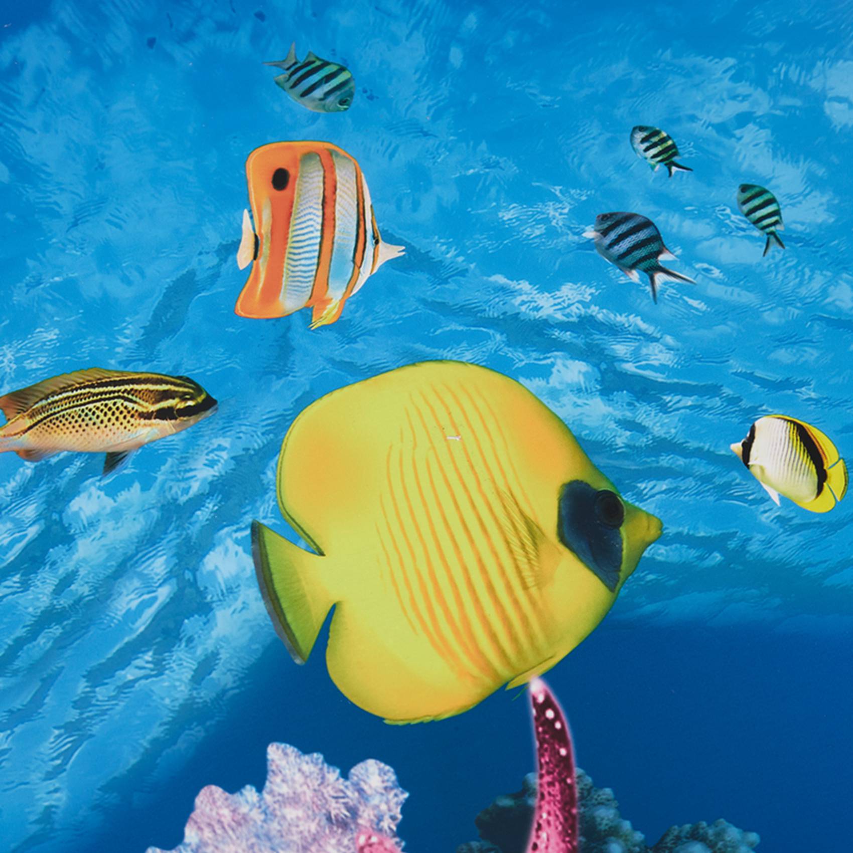 A77I Aquarium Background Paper - Fish In Aquarium Picture 评论和价格