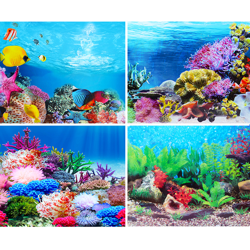 Fish tank background sticker p - Fish In Aquarium Picture 评论和价格