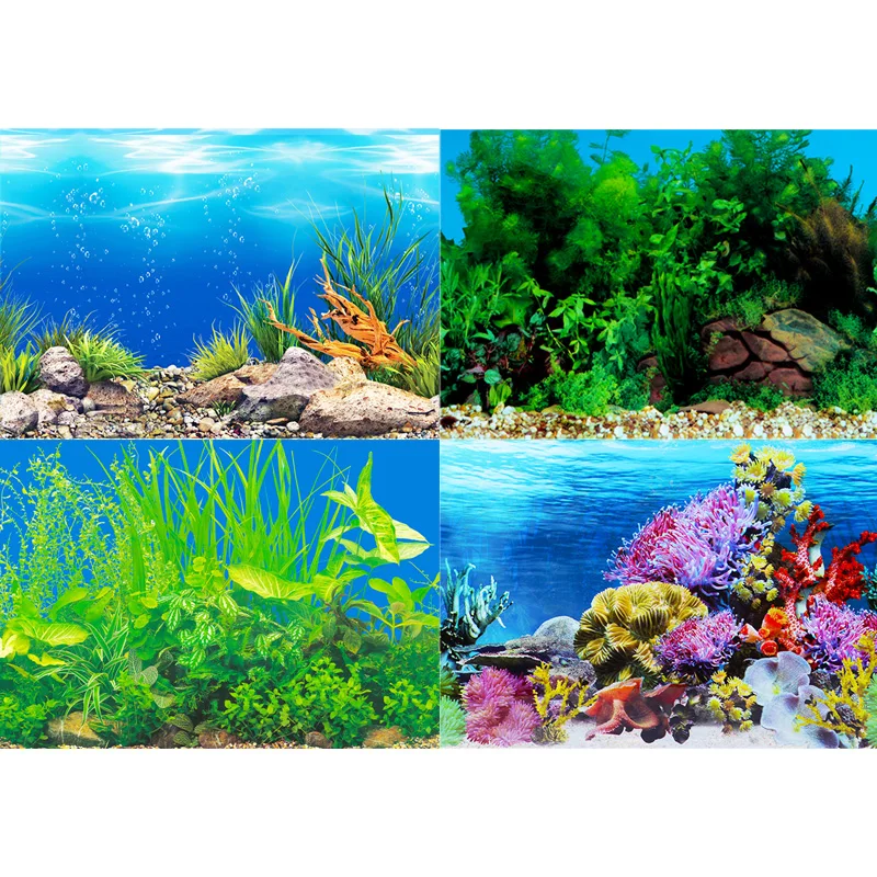 Fish tank background sticker p - Fish In Aquarium Picture 评论和价格
