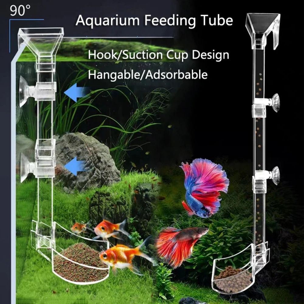 Transparent Aquarium Fish Tank - Aquarium Fish Price 评论和价格