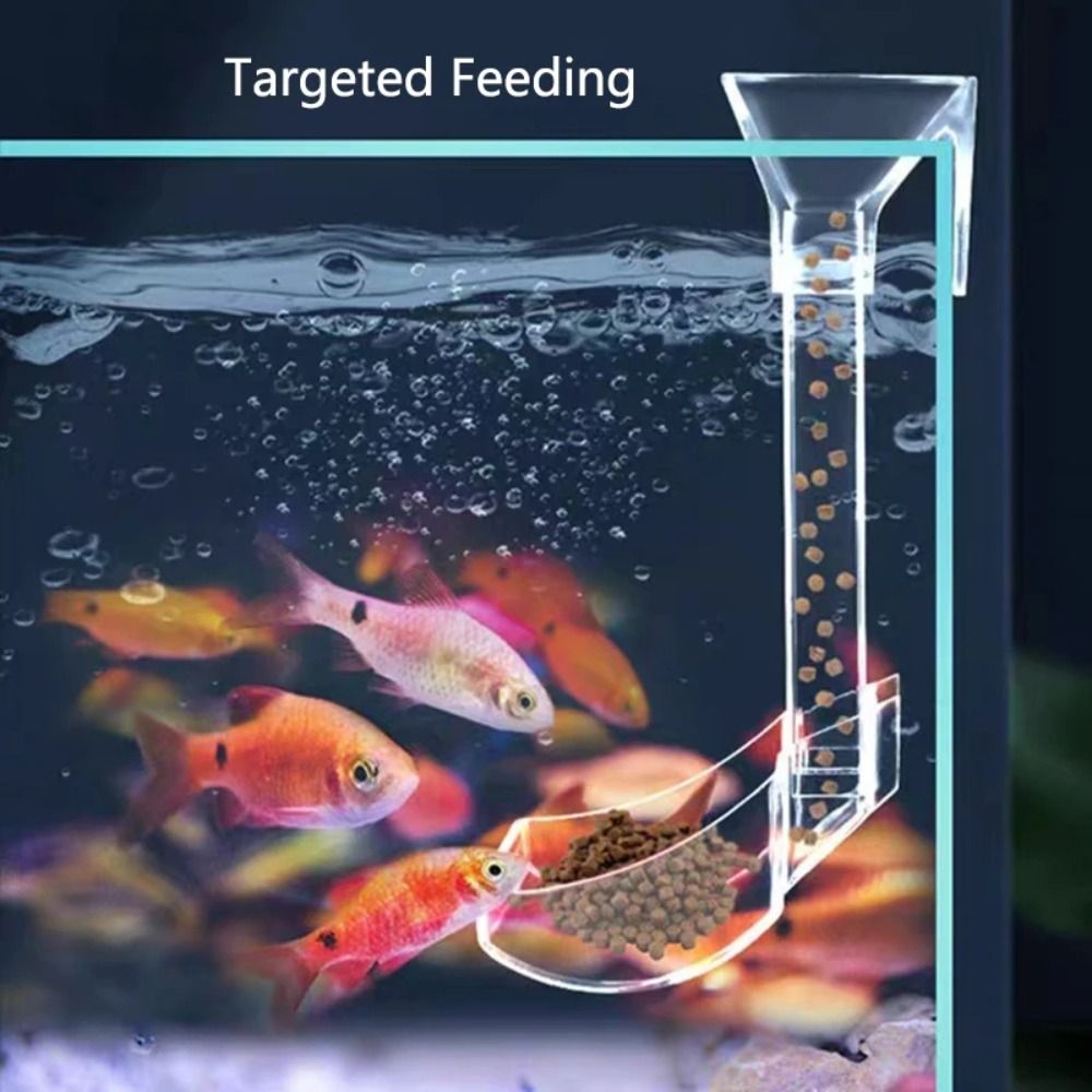 Transparent Aquarium Fish Tank - Aquarium Fish Price 评论和价格