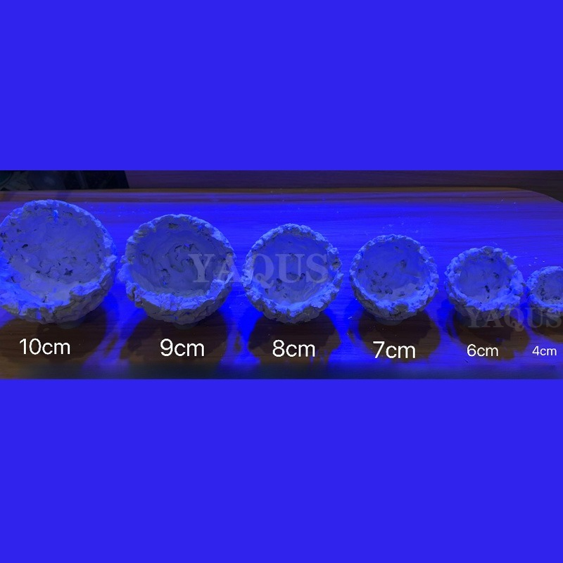 New DIY Handmade Floating Magn - Aquarium Fish Cichlid 评论和价格