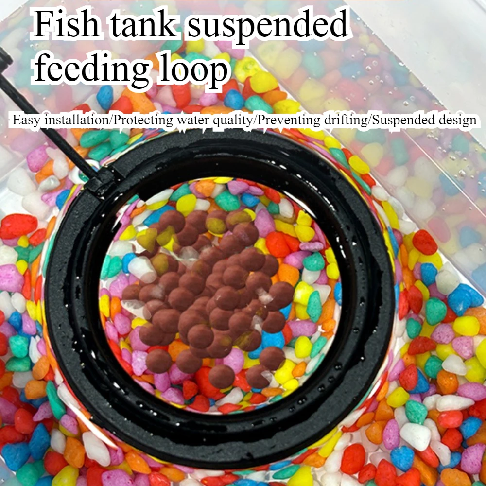 Feed Suction Cup Aquarium Feed - Aquarium Fish Price 评论和价格