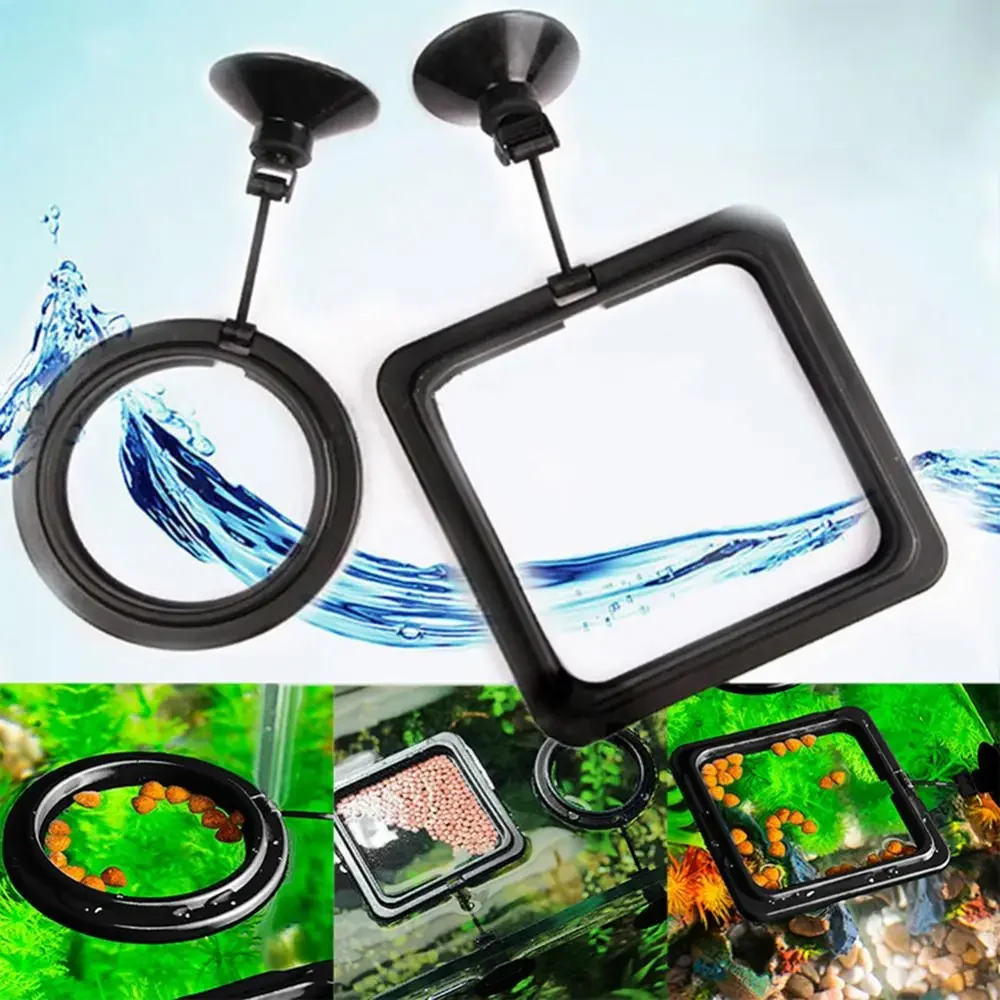 Feed Suction Cup Aquarium Feed - Aquarium Fish Price 评论和价格