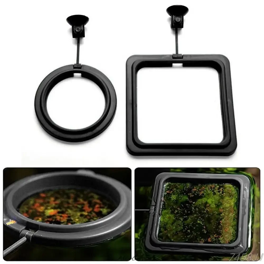 Feed Suction Cup Aquarium Feed - Aquarium Fish Price 评论和价格