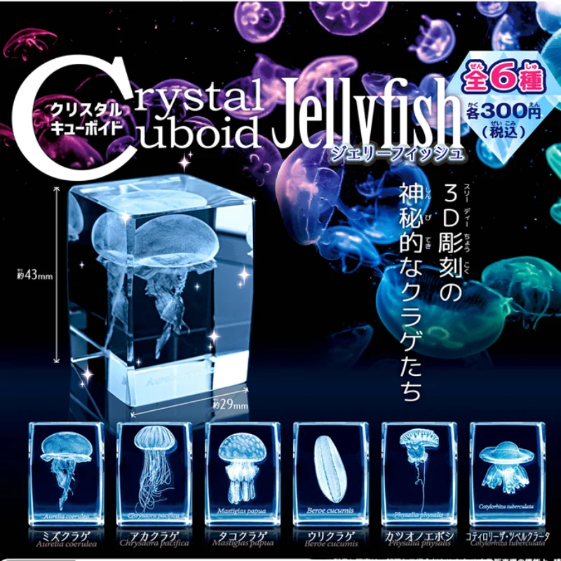 Japan Gashapon Jellyfish 3D Cr - Aquarium Fish Japan 评论和价格