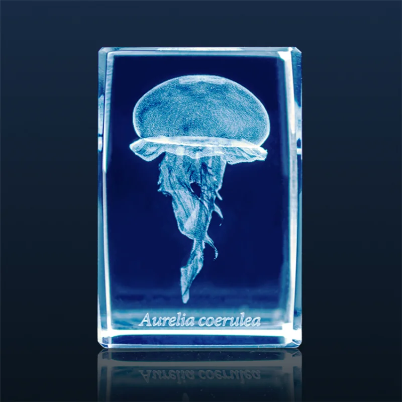 Japan Gashapon Jellyfish 3D Cr - Aquarium Fish Japan 评论和价格