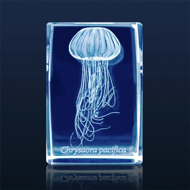 Japan Gashapon Jellyfish 3D Cr - Aquarium Fish Japan 评论和价格