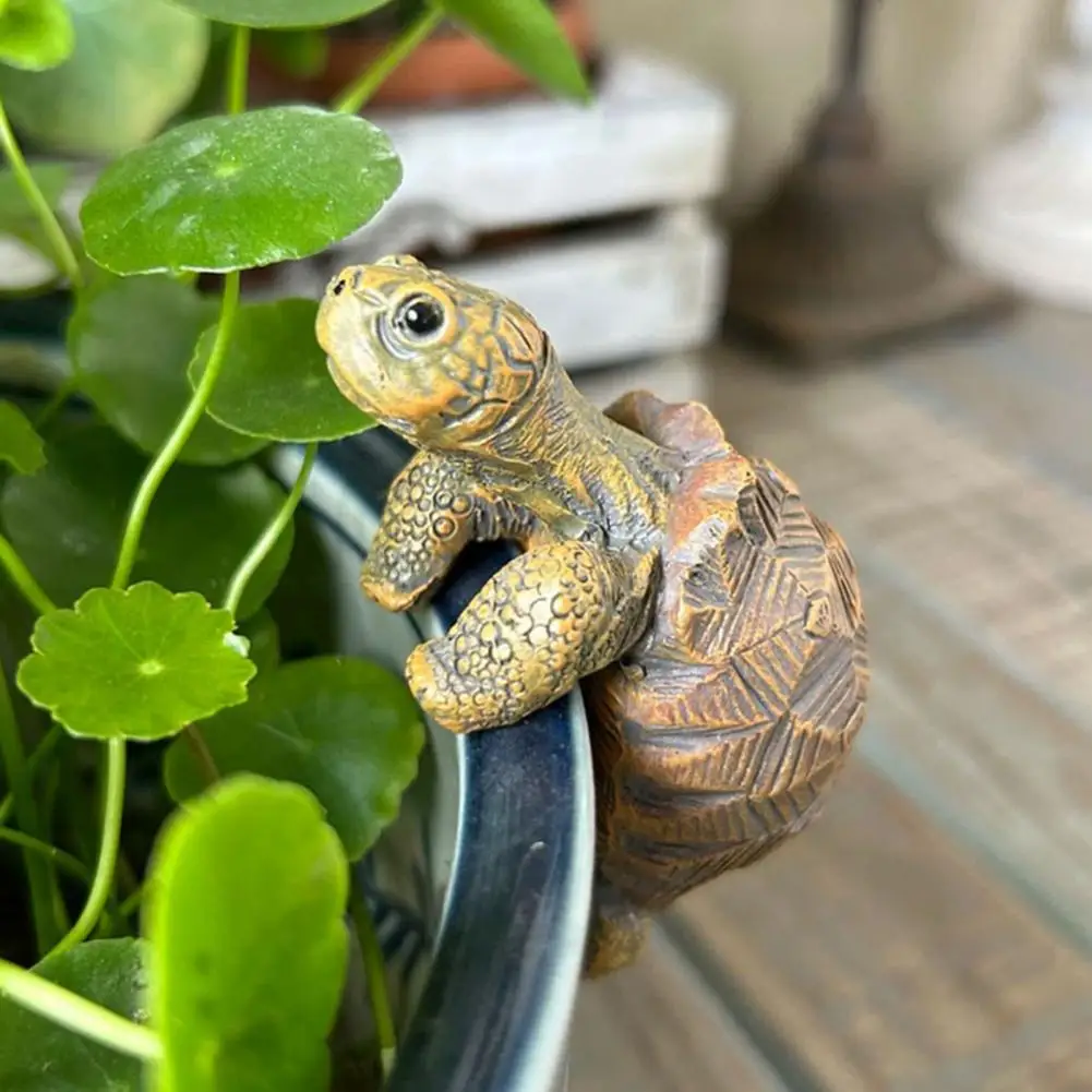 Fishing Turtle Hanging Turtle  - Aquarium Fish In Pond 评论和价格
