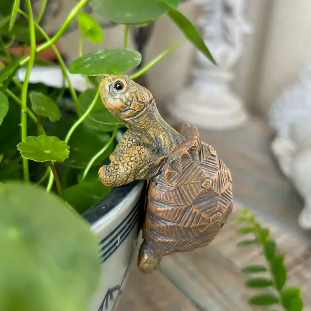 Fishing Turtle Hanging Turtle  - Aquarium Fish In Pond 评论和价格
