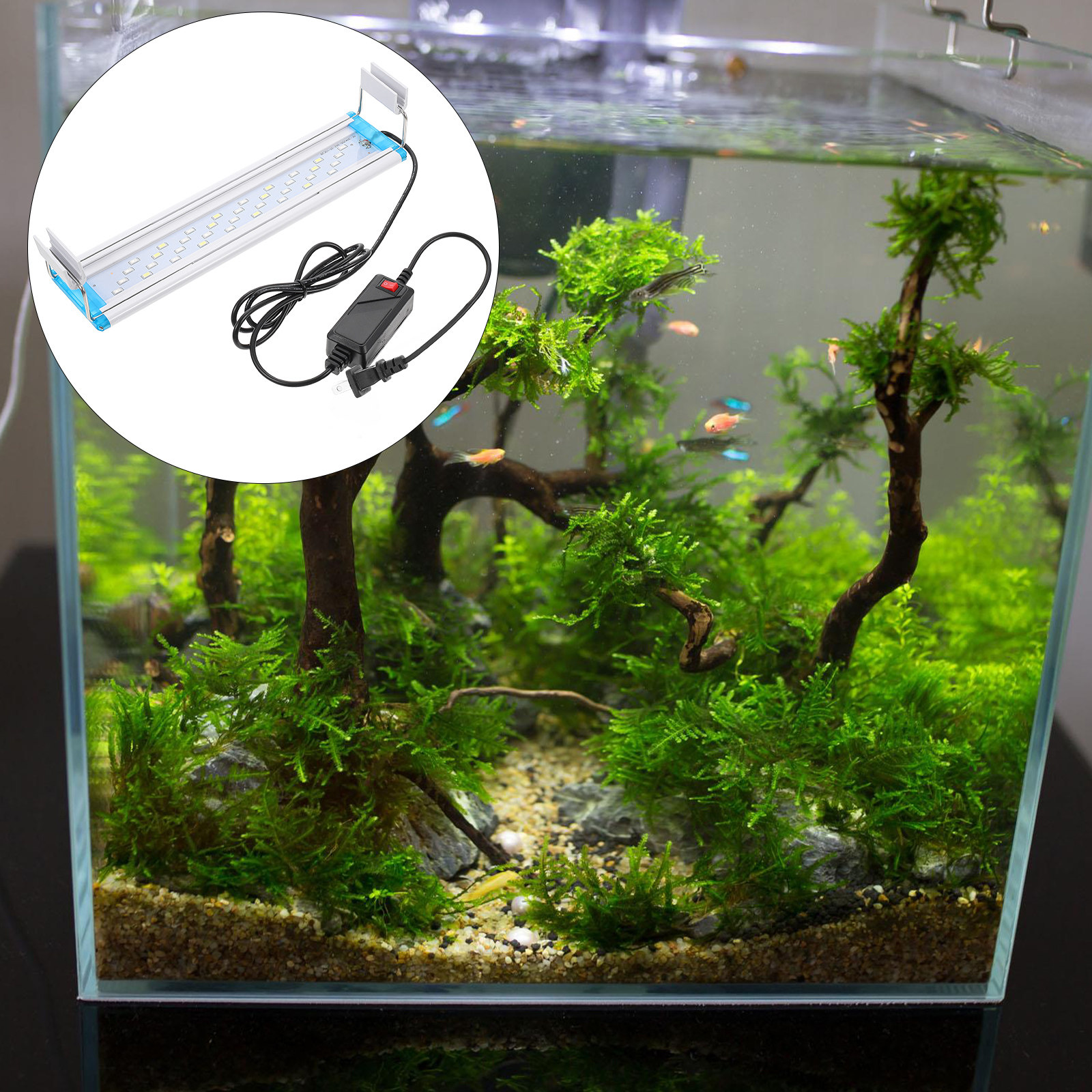 Tricolor LED Aquarium Light Hi - Aquarium Fish With Long Lifespan 评论和价格