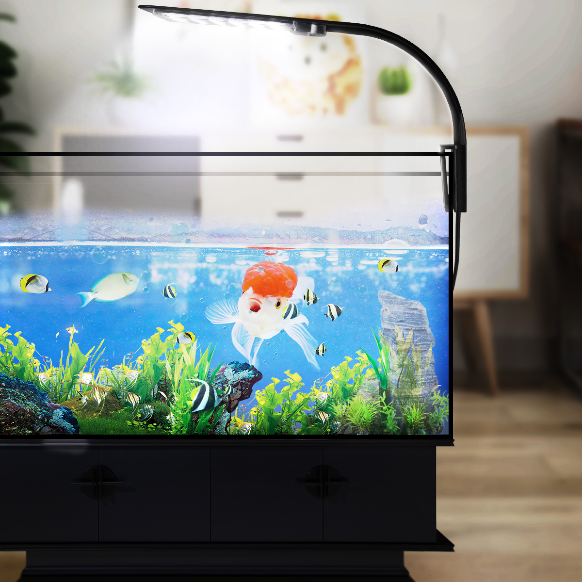 LED Aquarium Light for Plants  - Aquarium Fish With Long Lifespan 评论和价格