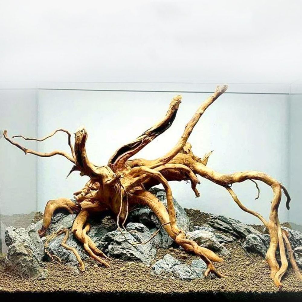Natural Tree Trunk Aquarium De - Aquarium Fish Cichlid 评论和价格