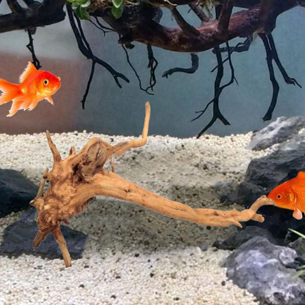 Natural Tree Trunk Aquarium De - Aquarium Fish Cichlid 评论和价格