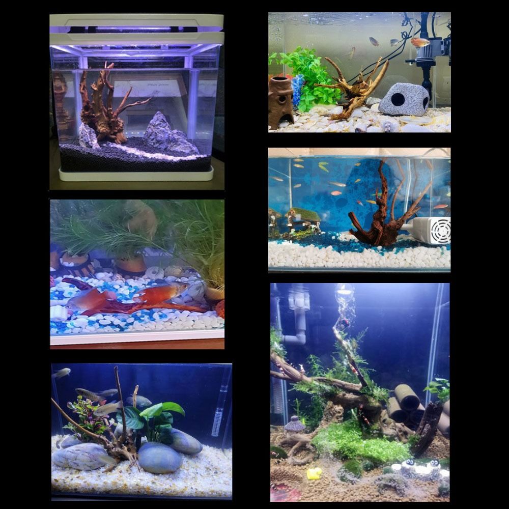 Natural Tree Trunk Aquarium De - Aquarium Fish Cichlid 评论和价格
