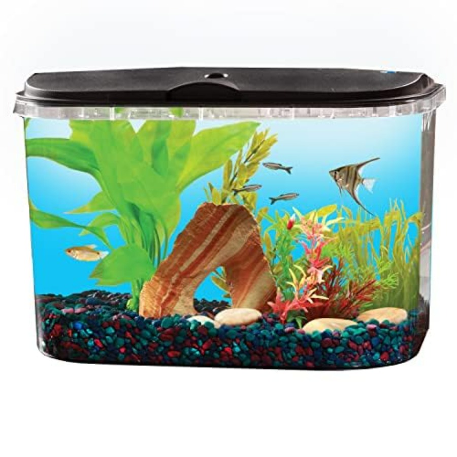 5-Gallon Aquarium Kit with LED - Aquarium Fish Variety 评论和价格