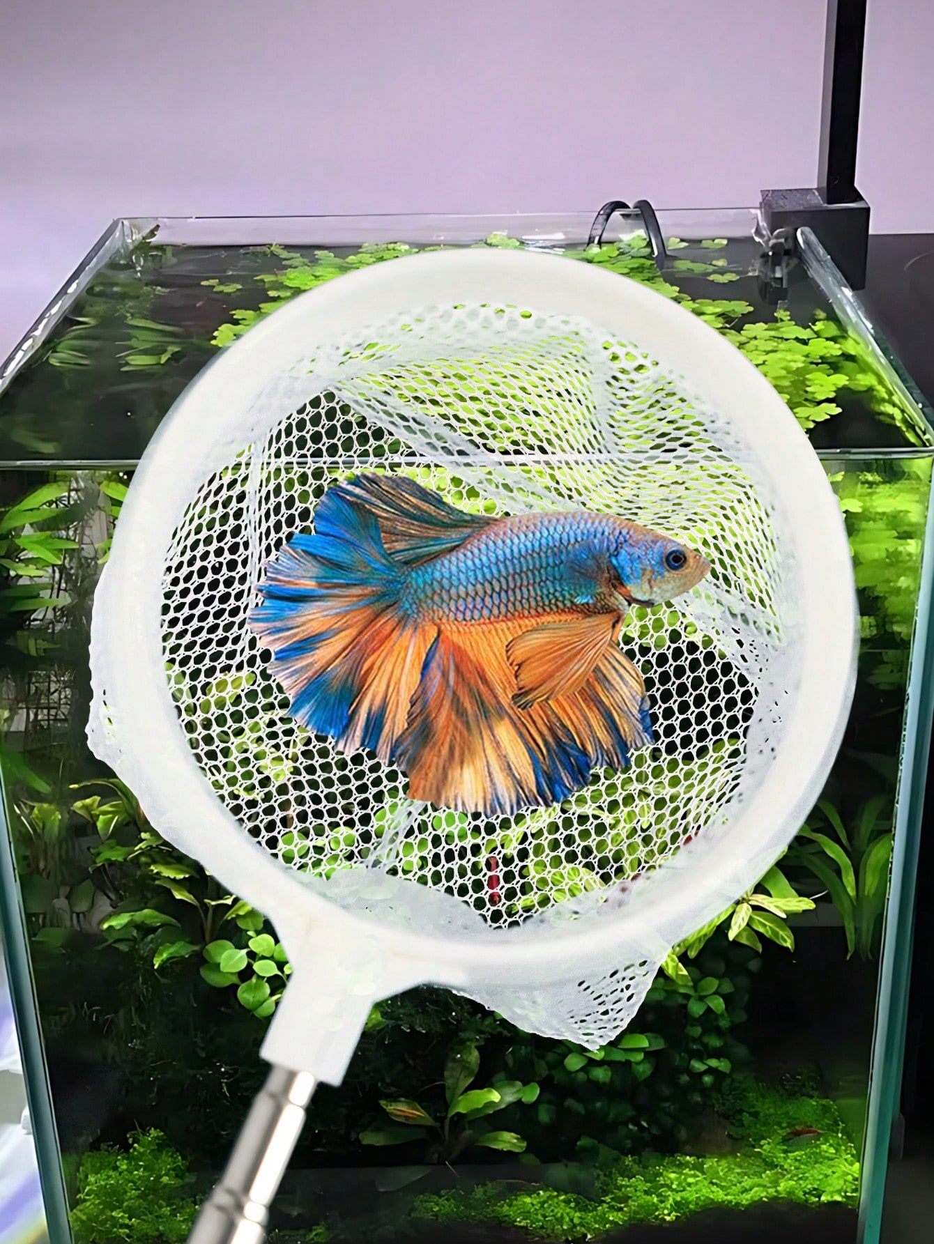 Aquarium Fish Net - a Retracta - Aquarium Fish Price 评论和价格