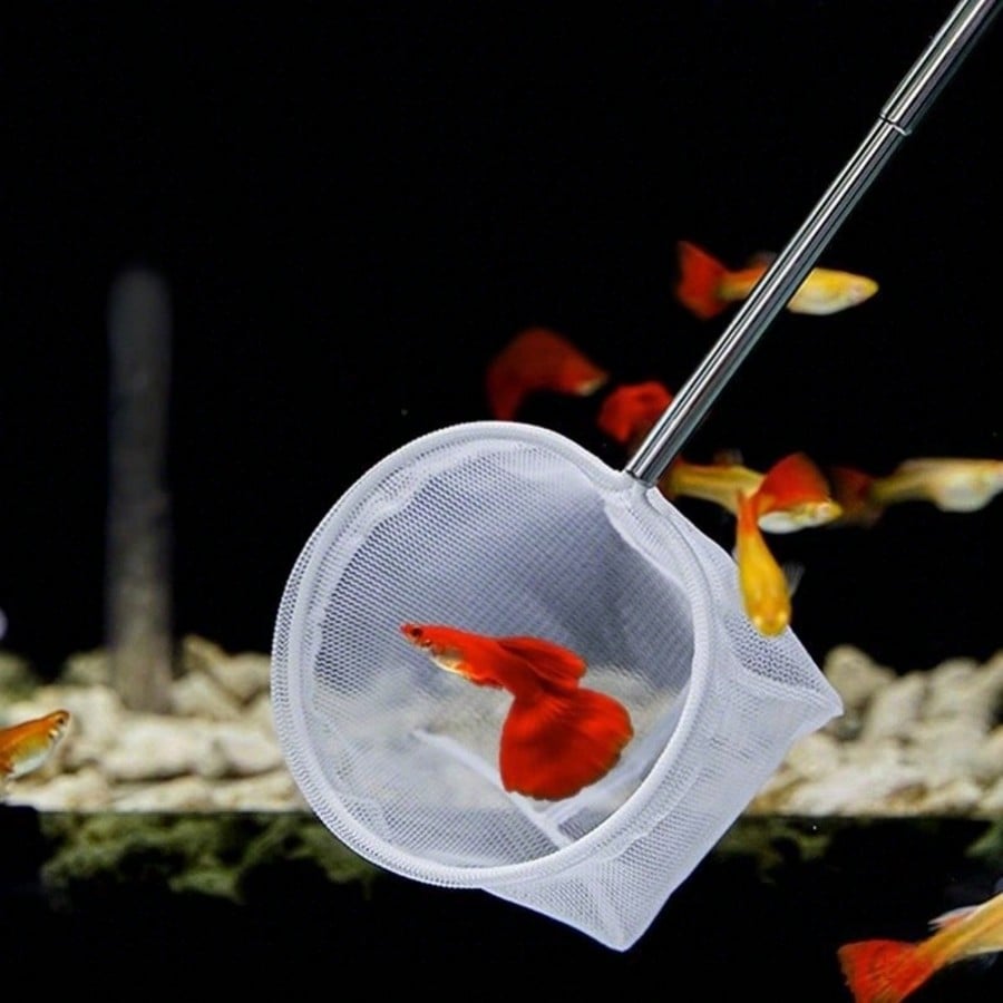 Aquarium Fish Net - a Retracta - Aquarium Fish Price 评论和价格