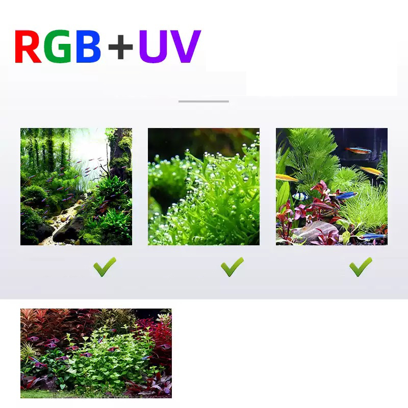 Led Lighting 60cm 80cm 90cm RG - Aquarium Fish Price 评论和价格