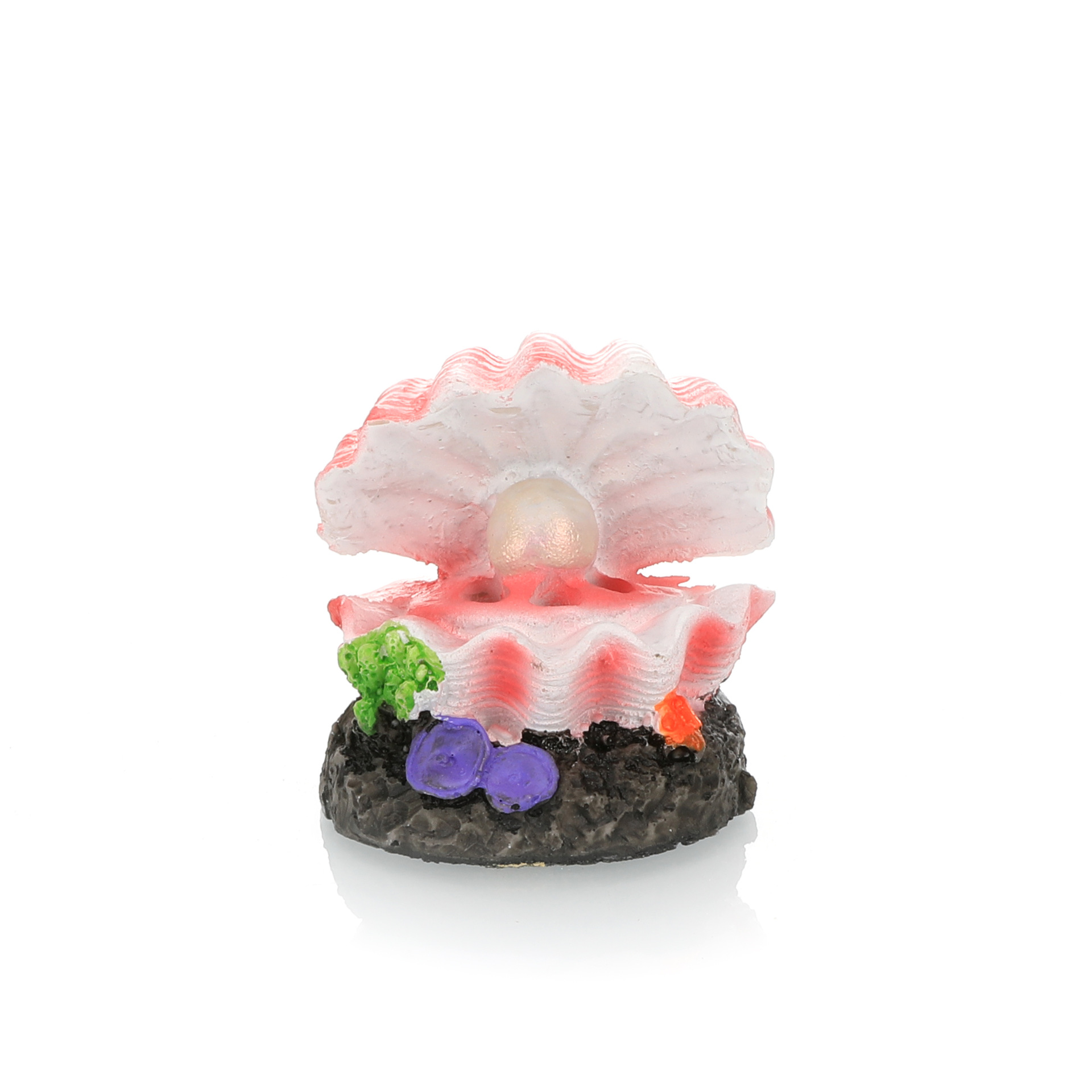 Fish Tank Landscaping Simulati - Aquarium Fish Cichlid 评论和价格