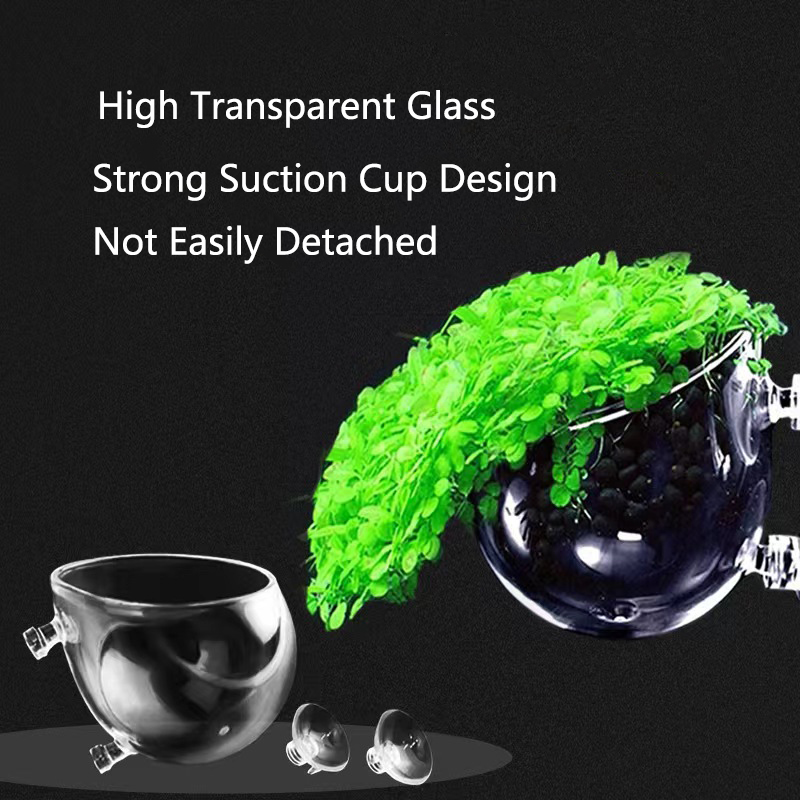 Glass Aquarium Decoration Hang - Aquarium Fish Cichlid 评论和价格