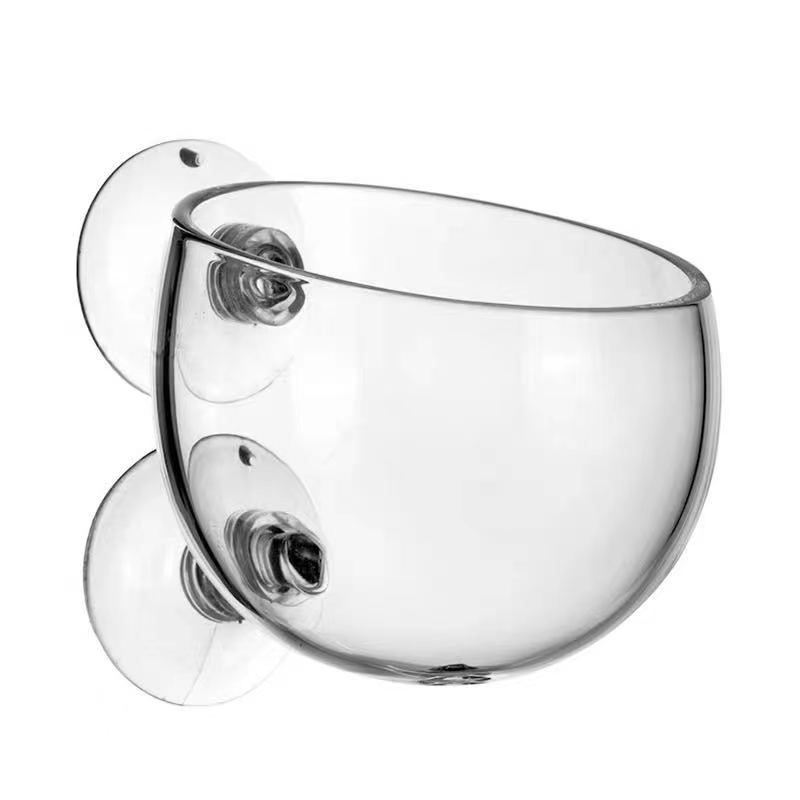Glass Aquarium Decoration Hang - Aquarium Fish Cichlid 评论和价格