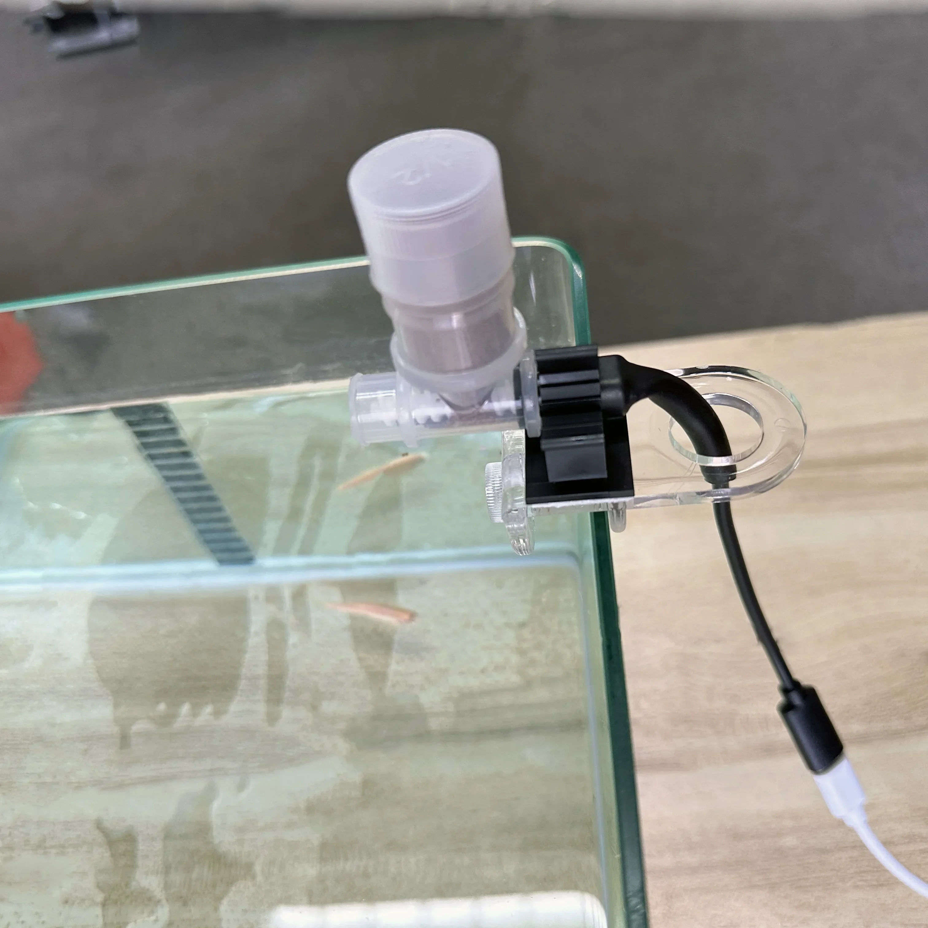 Best Automatic Fish Feeder - W - Aquarium Fish Price 评论和价格