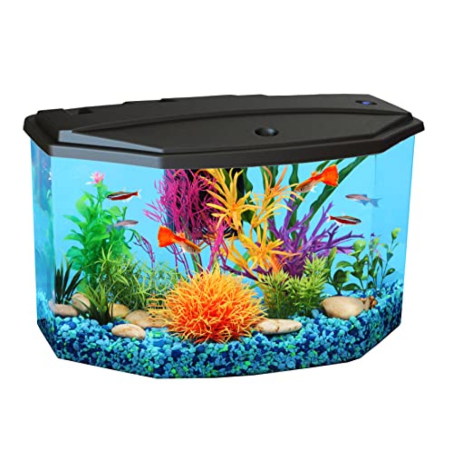 Plastic 3-Gallon Aquarium Star - Aquarium Fish Variety 评论和价格