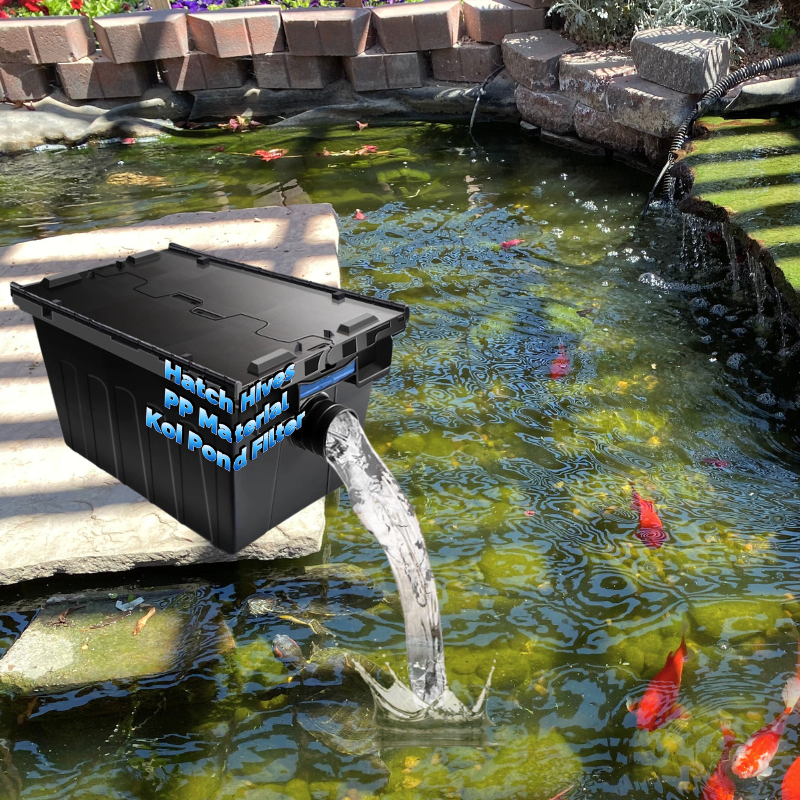 Koi Pond Clear Water Solution  - Aquarium Fish In Pond 评论和价格