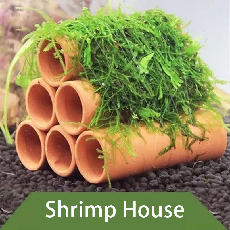 Clay Aquarium Decoration Fish  - Aquarium Fish Cichlid 评论和价格