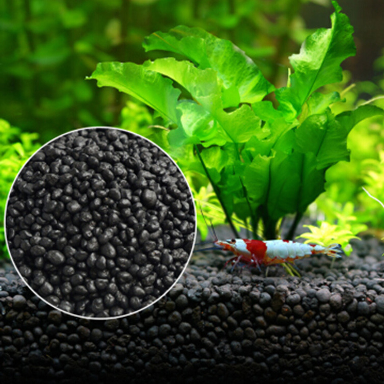 Aquarium Plant Seeds Soil Fish - Aquarium Fish Price 评论和价格