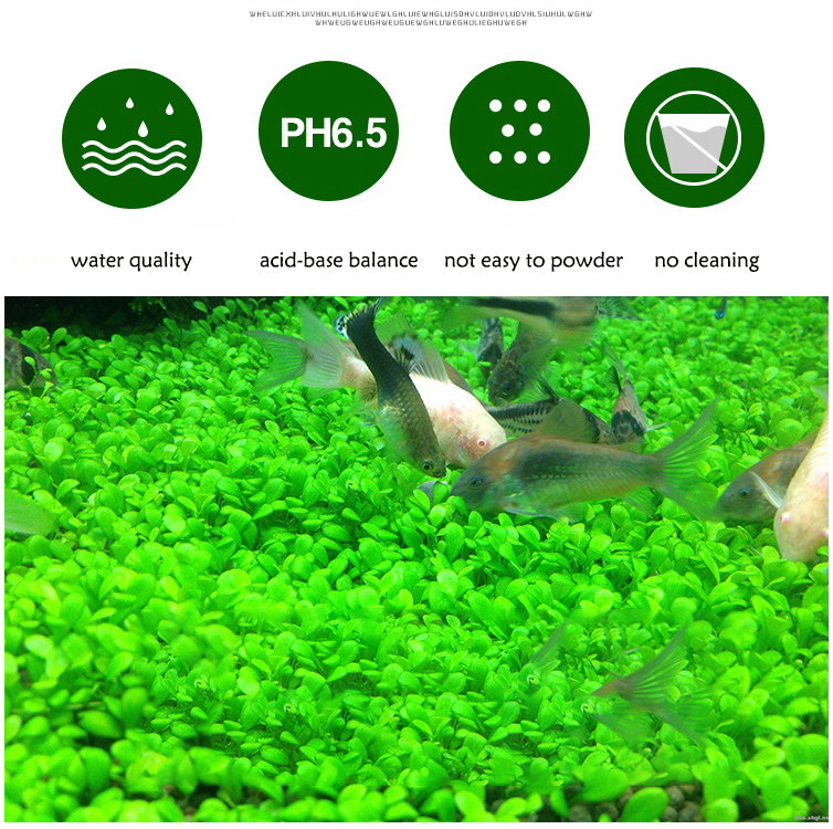 Aquarium Plant Seeds Soil Fish - Aquarium Fish Price 评论和价格