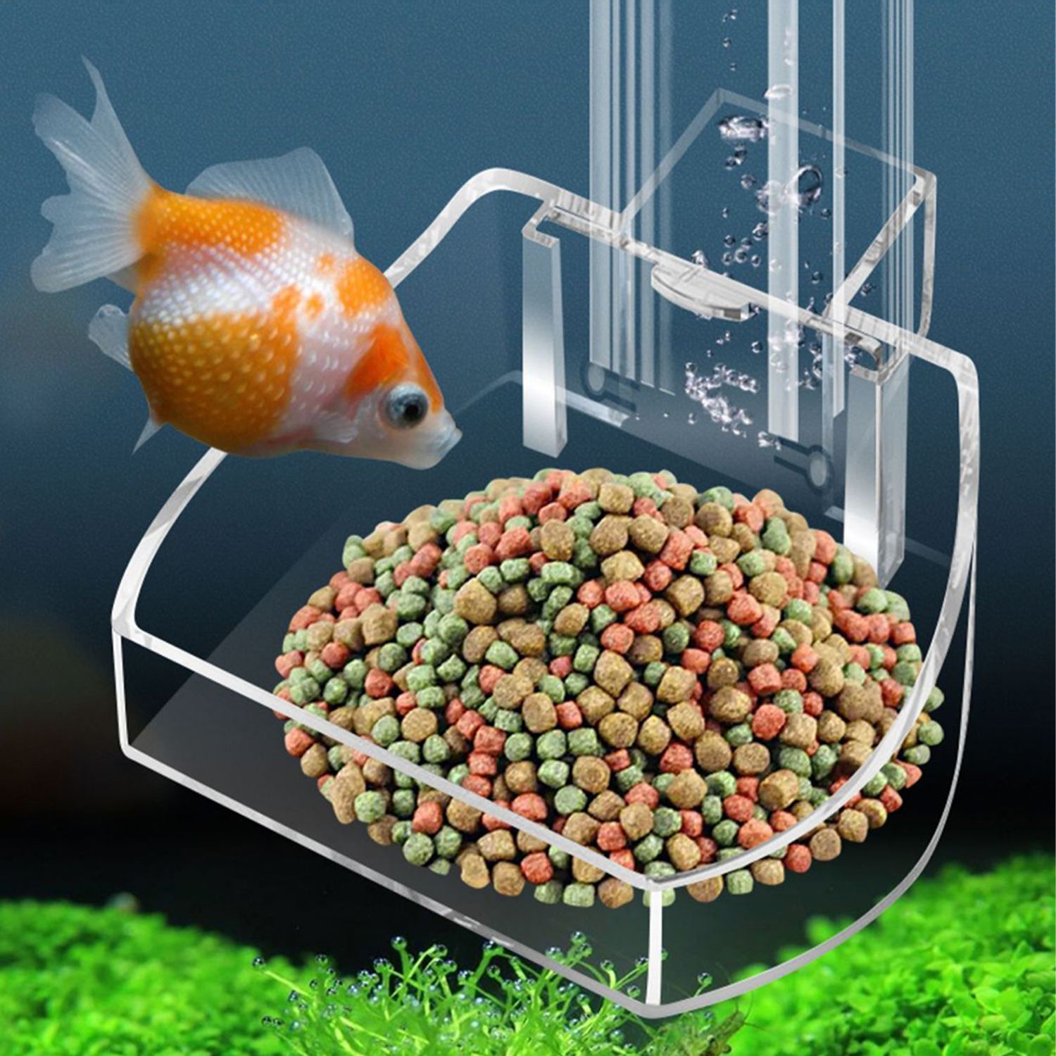 Aquarium Acrylic Feeding tube  - Aquarium Fish Variety 评论和价格