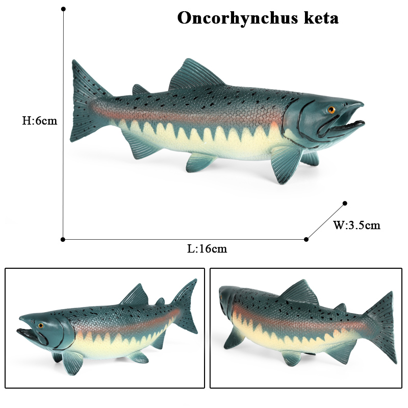 Oenux Sea Life Animals Model A - Fish In Aquarium Picture 评论和价格